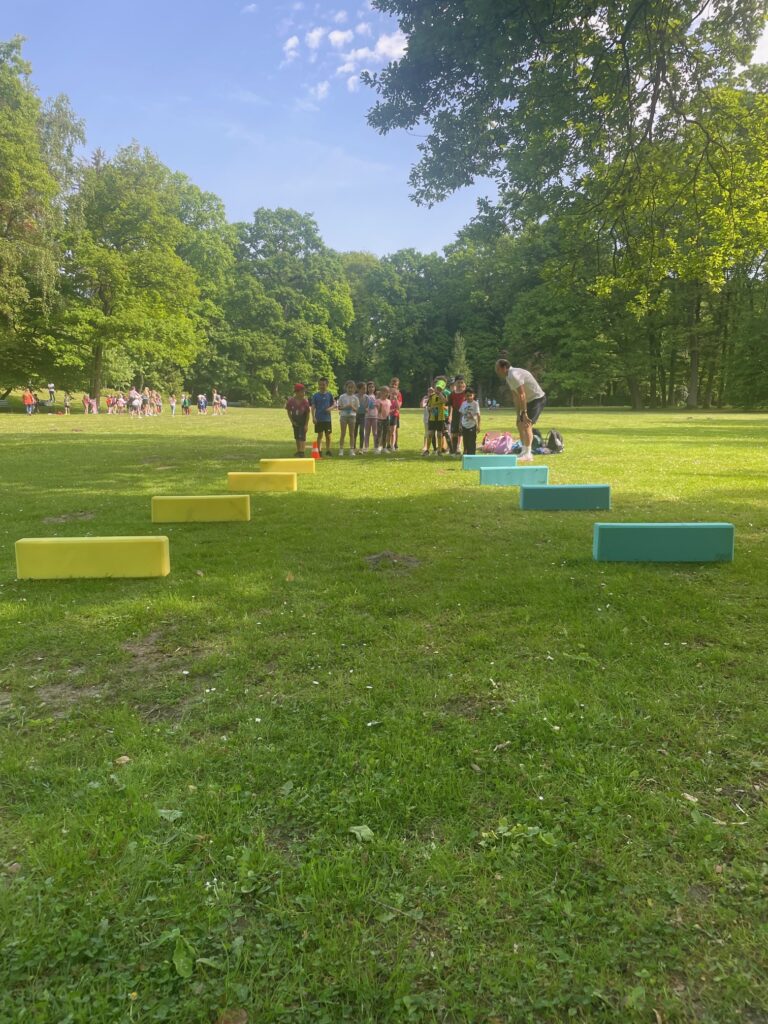 image5 image5